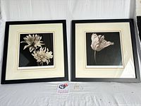 Both framed floral prints front view