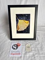 Full view of framed botanical photograph with lot tag