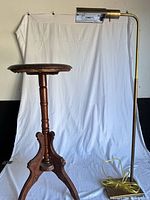 Full view of wooden plant stand and brass floor lamp
