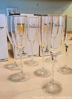 Group of Luminarc Le Champagne flute glasses standing on counter
