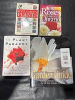 Group shot showing all four book covers