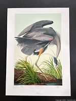 Full view of unframed print showing complete border and artwork