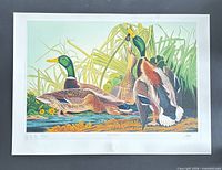 Full view of Mallard Duck print showing border and numbering