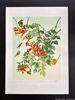 Full view of unframed lithograph on mount board