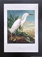 Full sheet view of lithograph on white border