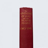 Spine view showing gilt title and author