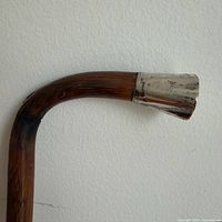Cane handle showing sterling silver cap and wood grain