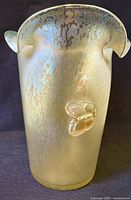 Full view of vase front showing butterfly prunt and iridescent finish