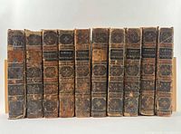Spines of all ten volumes showing titles, gilt work and wear