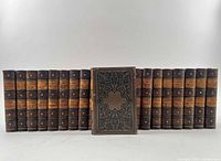 All 21 volumes lined up, spine view