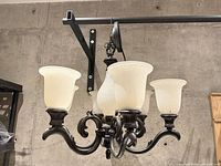 Front view of 6-light chandelier showing shades and frame