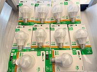 Top view of 10 packaged Globe LED Life A19 bulbs