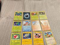 All 12 Pokémon cards arranged face up