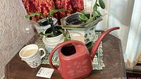 Overall lot showing planters with plants, mug and red watering can on table
