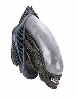 Right front view of Alien bust showing full cranial dome and facial detail