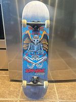 Full view of skateboard front with graphic