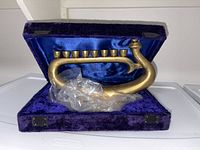 Menorah inside open velvet case with plastic wrap