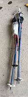 Four blue telescopic poles with baskets and grips