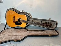 Full view of Takamine acoustic guitar inside open hardshell case