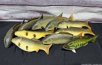 Group of nine foam fish and one green plastic fish displayed on black cloth