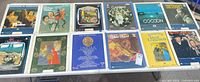 All twelve LaserDiscs on folding table, sleeves front-facing