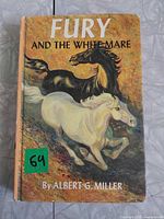 Front cover showing title, author and artwork