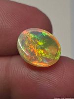Front view of oval opal showing multicolour fire