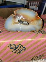 Front view of agate slice showing banding and bears
