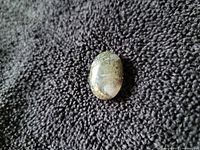 Front view of oval moss agate cabochon on dark fabric