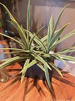 Rectangular black planter containing artificial agave-style plant