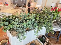 Overall view of ivy arrangement spanning kitchen island