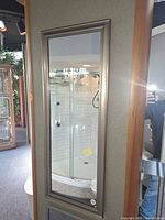 Front view showing full-length mirrored door and satin nickel frame