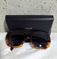 Front view sunglasses resting on case