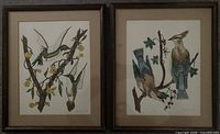 Both framed bird artworks side by side showing subjects and frames