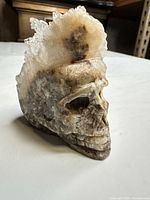 left profile of quartz skull showing facial carving and crystal cluster crown