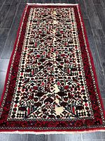 Full view of Rudbar rug showing entire design and fringes