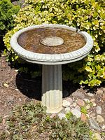 Full view of concrete bird bath in garden