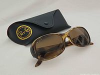 Sunglasses front view with case