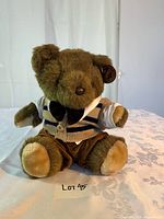 Front view of dressed plush teddy bear