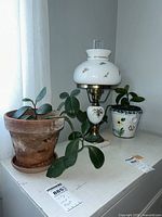Lamp, both potted plants and terracotta saucer on surface