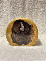 Front view showing buffalo portrait and overall shape