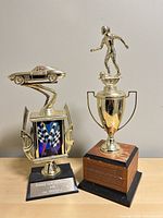 Both trophies side by side showing overall form and bases