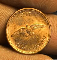 Reverse side of coin showing rock dove design and inscriptions