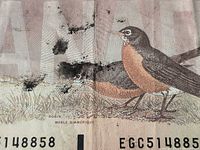 Reverse of note with ink smudge over robin design