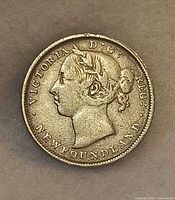 Obverse side with Queen Victoria bust and NewFOUNDLAND legend