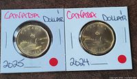 Front of 2025 and 2024 Canadian $1 coins in flips showing loon reverse