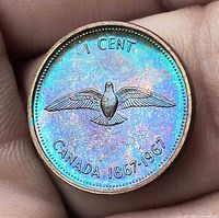 Obverse side not visible; reverse shows rock dove design and denomination, full toning visible