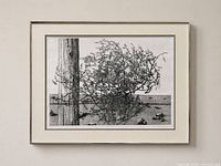 Framed etching overall view