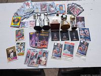 Overall spread of trading cards, six mini trophies and pins