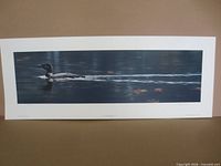 Full view of the unframed print with white border showing loon on water
